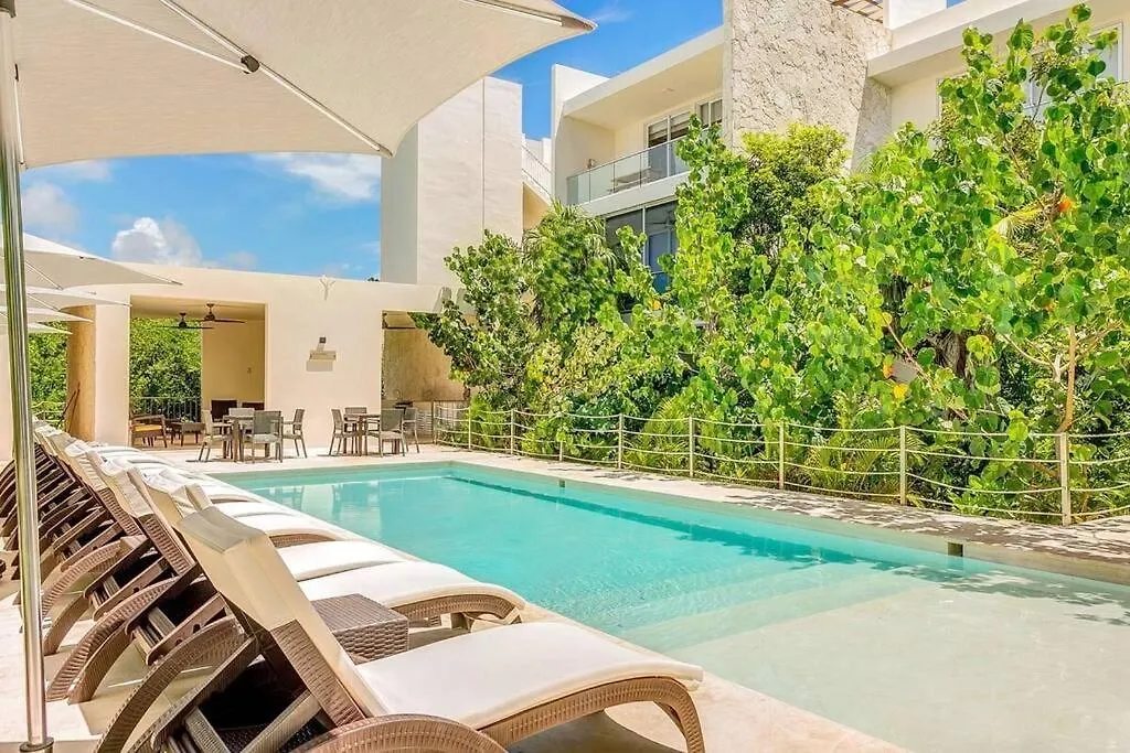 Tortuga Azul Private Terrace Rooftop Pool W Bbq Beach Access 11 Pools Free Beach Club Akumal