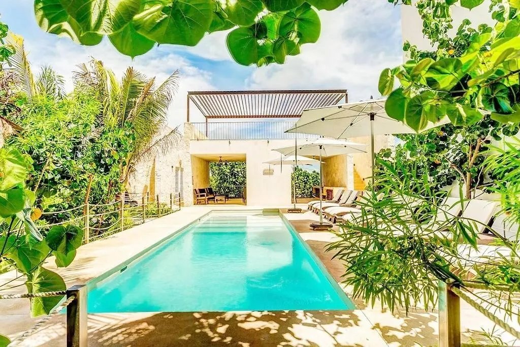 Tortuga Azul Private Terrace Rooftop Pool W Bbq Beach Access 11 Pools Free Beach Club Akumal Apartment