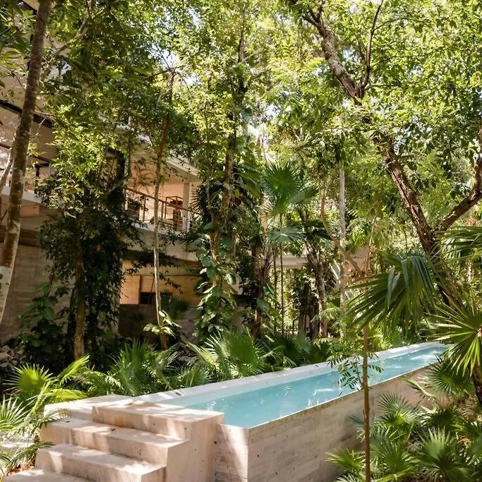 Tortuga Azul Private Terrace Rooftop Pool W Bbq Beach Access 11 Pools Free Beach Club أكومال