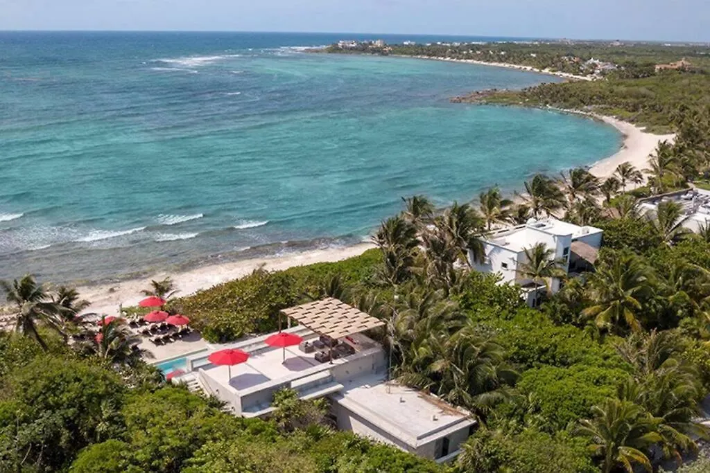 Tortuga Azul Private Terrace Rooftop Pool W Bbq Beach Access 11 Pools Free Beach Club Akumal Apartment