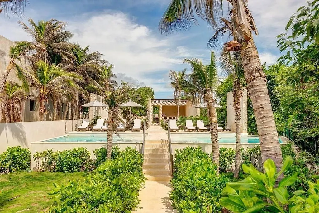 Tortuga Azul Private Terrace Rooftop Pool W Bbq Beach Access 11 Pools Free Beach Club 艾库玛尔 公寓